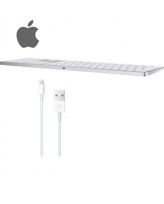 Apple Magic Keyboard with Numeric Keypad